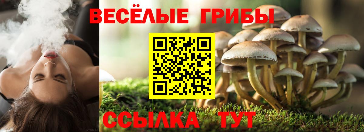 МАРИХУАНА Татарск